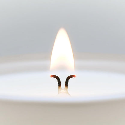 CUE Scented Candle |MoodBoost Essential Oils |OpenWick Clean Burning Candle | Soy Coconut Wax Blend | Candle for Home | Gift |Extended Burn Time (8.5oz, Dewy Aloe and Eucalyptus)