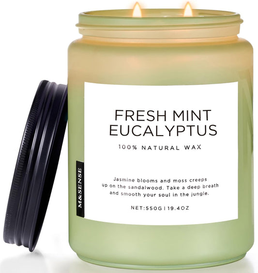 M&SENSE Eucalyptus & Mint Scented Jar Candle, Large 19.4oz Natural Soy Wax