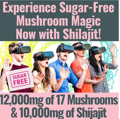 Shilajit + 17 Mushroom Complex Gummies | 22,000mg All-in-One Energy & Immunity Booster | Sugar-Free Peach Mango Flavor